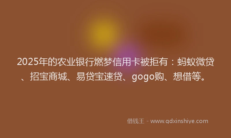 2025年的农业银行燃梦信用卡被拒有：蚂蚁微贷、招宝商城、易贷宝速贷、gogo购、想借等。