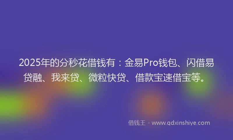 2025年的分秒花借钱有：金易Pro钱包、闪借易贷融、我来贷、微粒快贷、借款宝速借宝等。