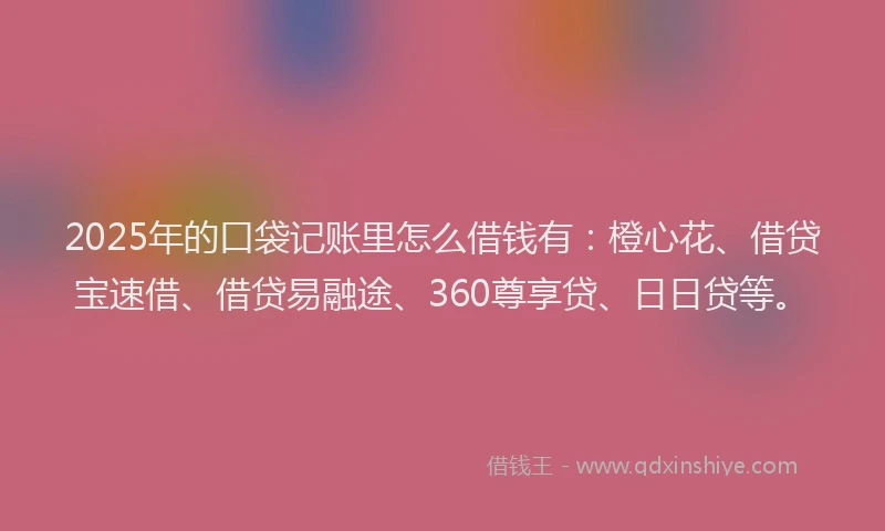 2025年的口袋记账里怎么借钱有：橙心花、借贷宝速借、借贷易融途、360尊享贷、日日贷等。