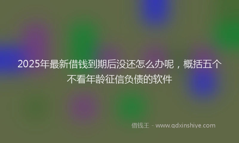 2025年最新借钱到期后没还怎么办呢，概括五个不看年龄征信负债的软件