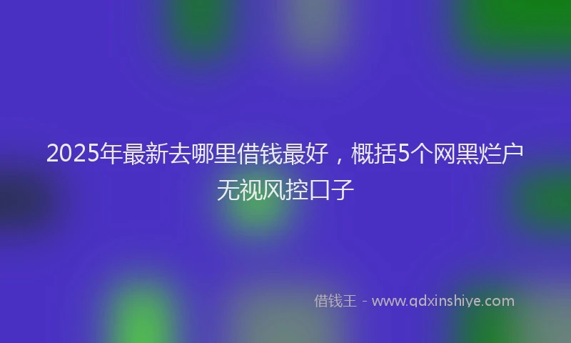 2025年最新去哪里借钱最好，概括5个网黑烂户无视风控口子