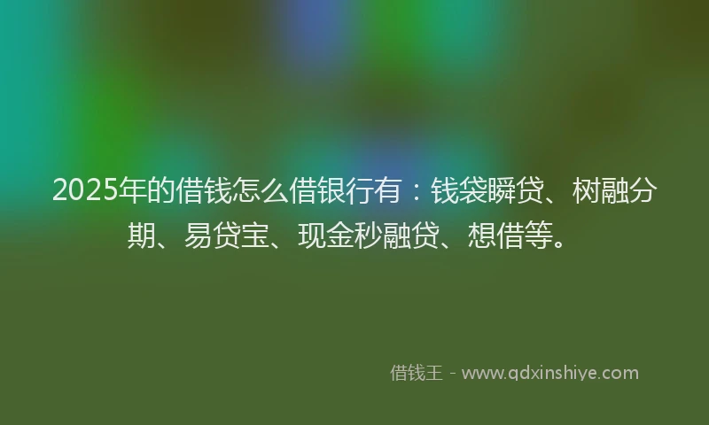 2025年的借钱怎么借银行有：钱袋瞬贷、树融分期、易贷宝、现金秒融贷、想借等。