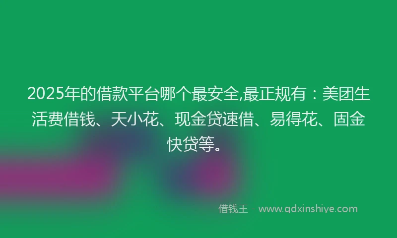 2025年的借款平台哪个最安全,最正规有：美团生活费借钱、天小花、现金贷速借、易得花、固金快贷等。