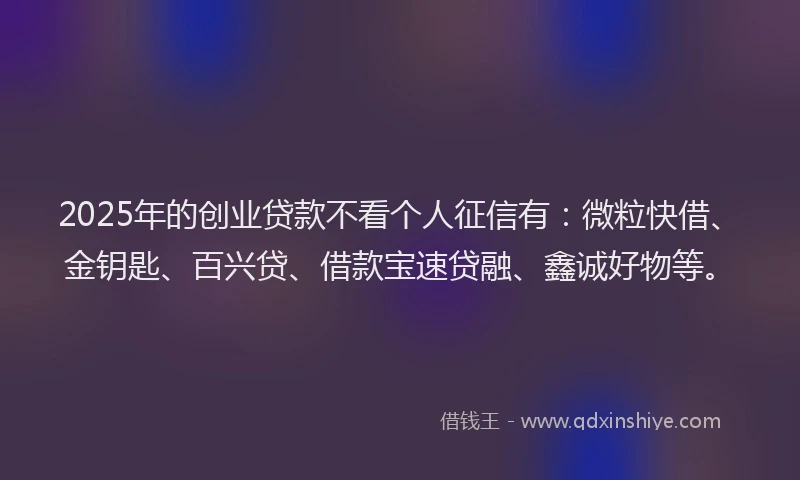 2025年的创业贷款不看个人征信有：微粒快借、金钥匙、百兴贷、借款宝速贷融、鑫诚好物等。