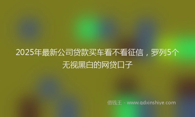 2025年最新公司贷款买车看不看征信，罗列5个无视黑白的网贷口子