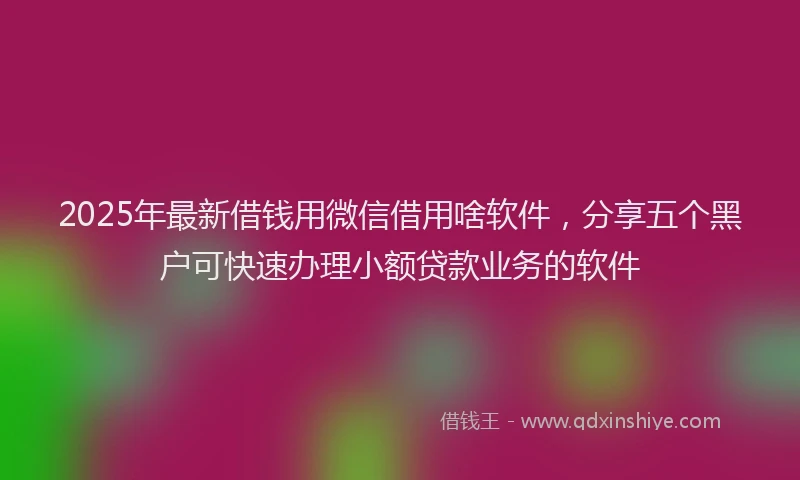 2025年最新借钱用微信借用啥软件，分享五个黑户可快速办理小额贷款业务的软件