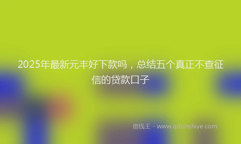 2025年最新元丰好下款吗，总结五个真正不查征信的贷款口子