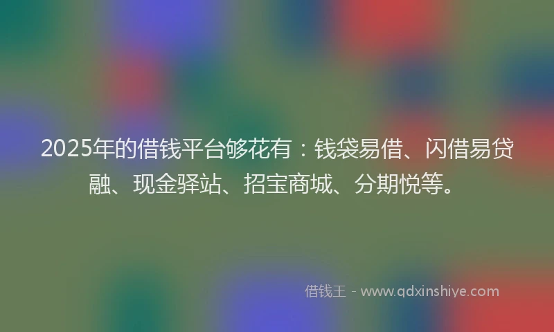 2025年的借钱平台够花有：钱袋易借、闪借易贷融、现金驿站、招宝商城、分期悦等。