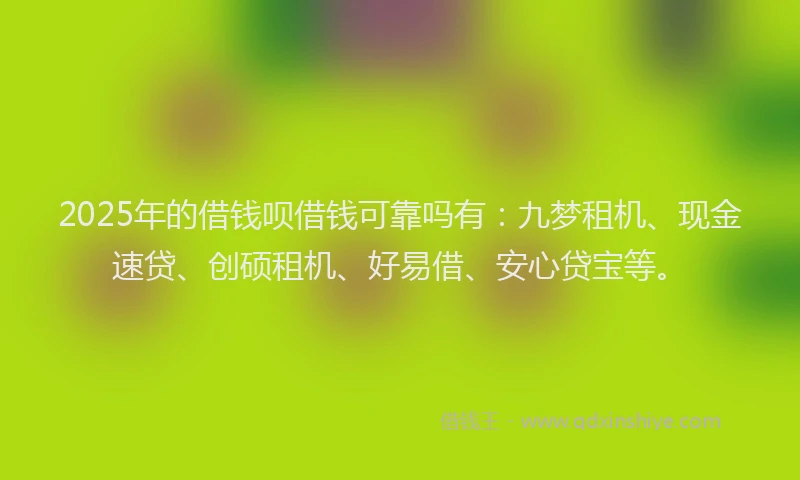 2025年的借钱呗借钱可靠吗有：九梦租机、现金速贷、创硕租机、好易借、安心贷宝等。