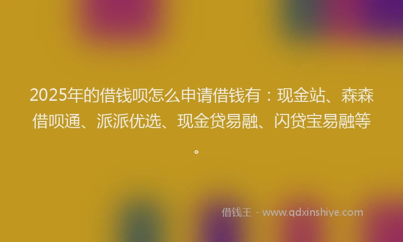 2025年的借钱呗怎么申请借钱有：现金站、森森借呗通、派派优选、现金贷易融、闪贷宝易融等。
