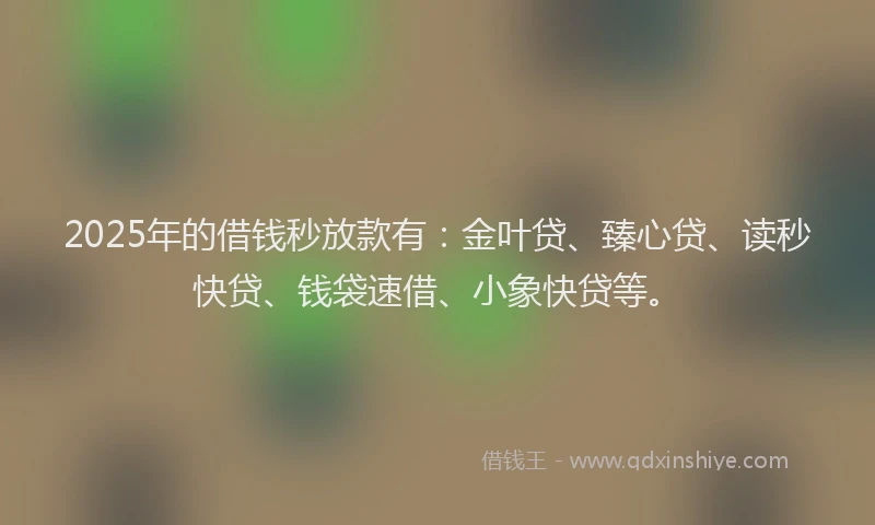 2025年的借钱秒放款有：金叶贷、臻心贷、读秒快贷、钱袋速借、小象快贷等。