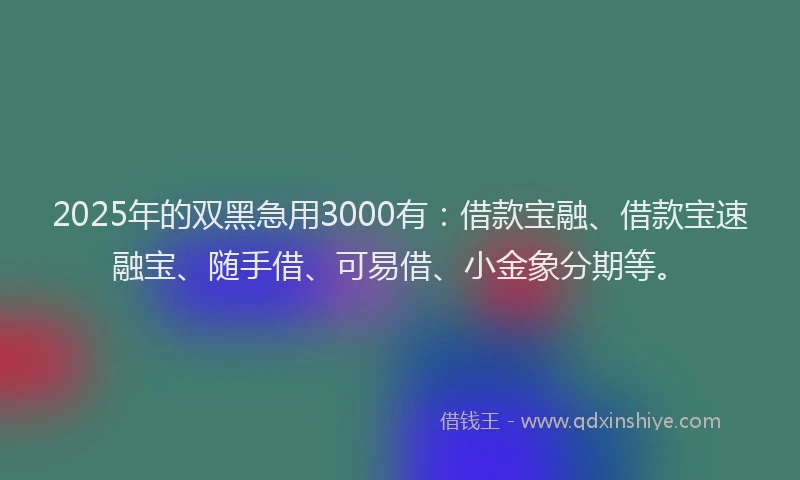 2025年的双黑急用3000有：借款宝融、借款宝速融宝、随手借、可易借、小金象分期等。