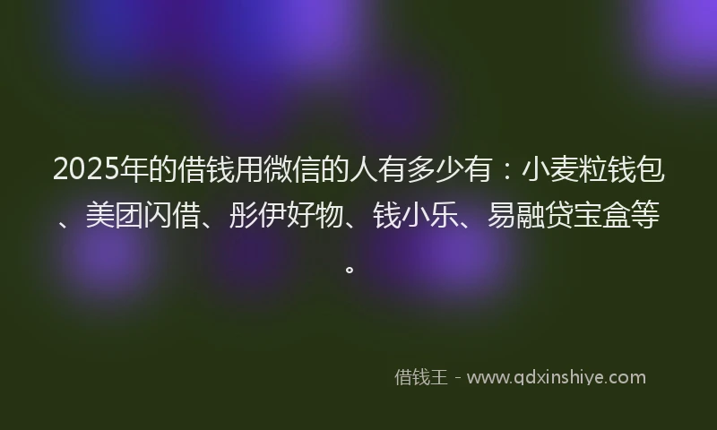 2025年的借钱用微信的人有多少有：小麦粒钱包、美团闪借、彤伊好物、钱小乐、易融贷宝盒等。