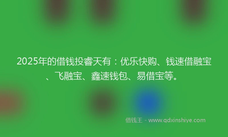 2025年的借钱投睿天有：优乐快购、钱速借融宝、飞融宝、鑫速钱包、易借宝等。
