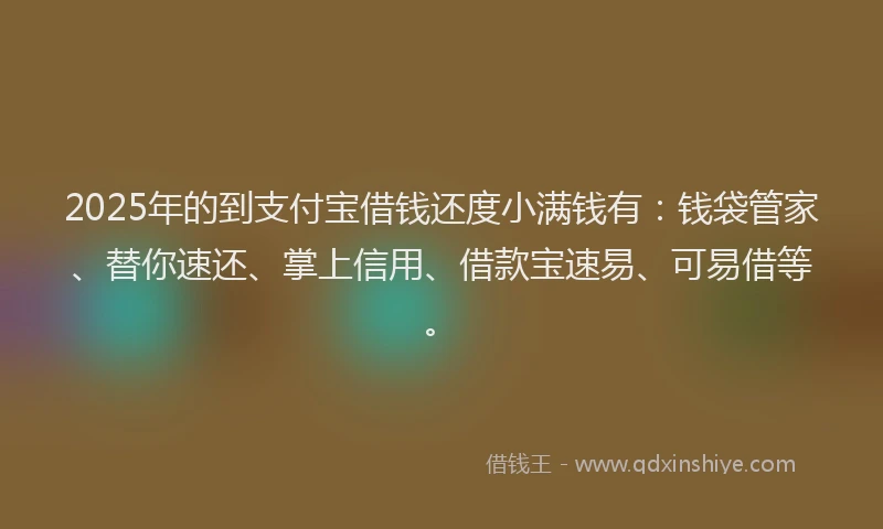 2025年的到支付宝借钱还度小满钱有：钱袋管家、替你速还、掌上信用、借款宝速易、可易借等。