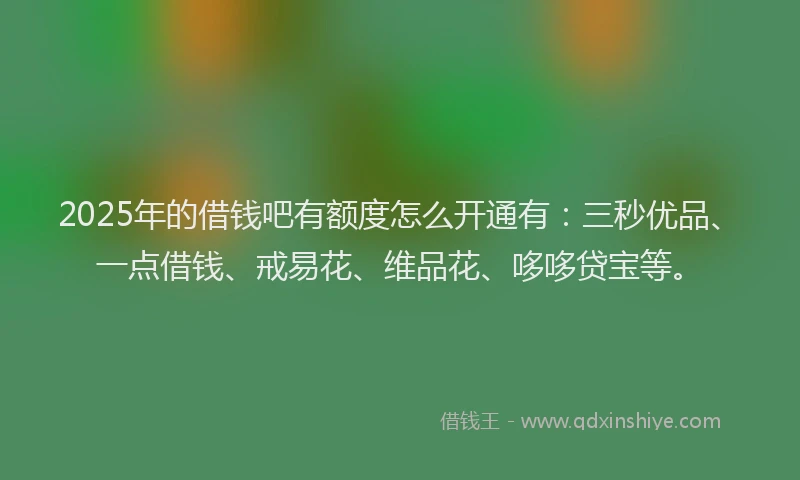 2025年的借钱吧有额度怎么开通有：三秒优品、一点借钱、戒易花、维品花、哆哆贷宝等。