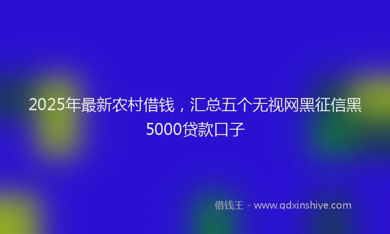 2025年最新农村借钱，汇总五个无视网黑征信黑5000贷款口子