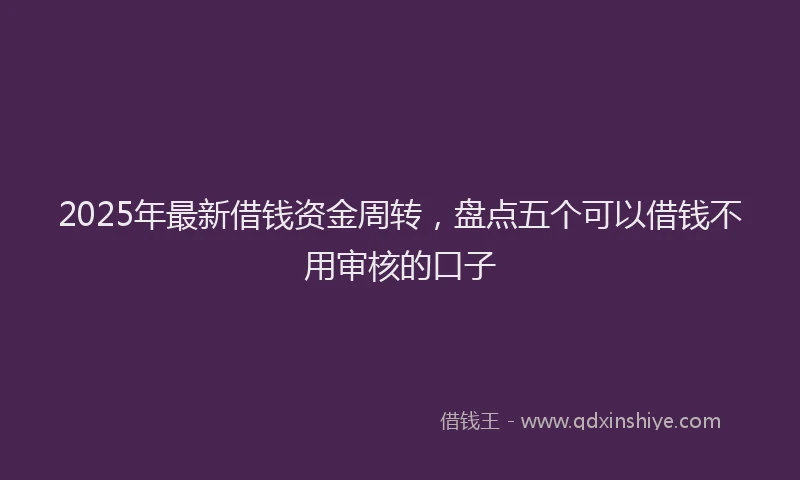 2025年最新借钱资金周转，盘点五个可以借钱不用审核的口子