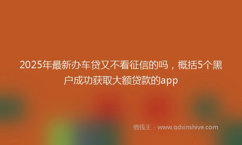 2025年最新办车贷又不看征信的吗，概括5个黑户成功获取大额贷款的app