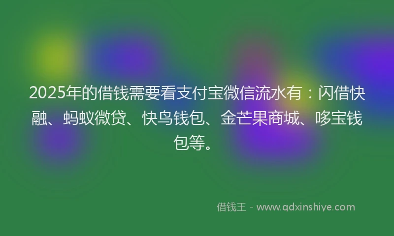 2025年的借钱需要看支付宝微信流水有：闪借快融、蚂蚁微贷、快鸟钱包、金芒果商城、哆宝钱包等。