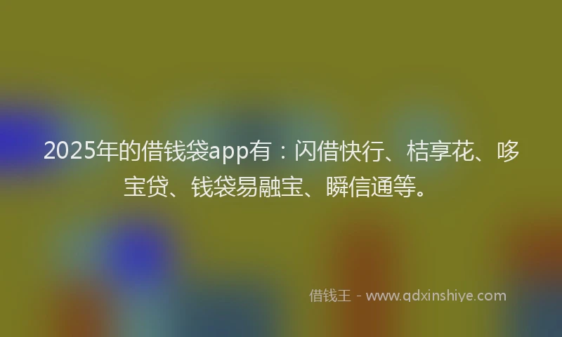 2025年的借钱袋app有：闪借快行、桔享花、哆宝贷、钱袋易融宝、瞬信通等。