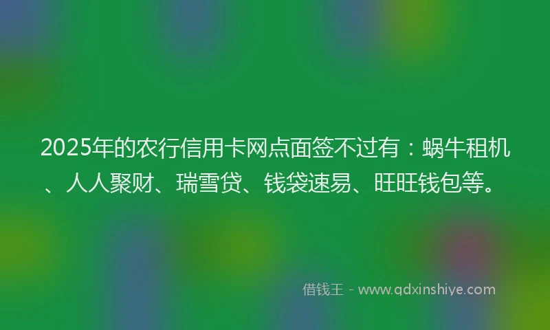 2025年的农行信用卡网点面签不过有：蜗牛租机、人人聚财、瑞雪贷、钱袋速易、旺旺钱包等。