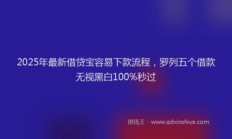 2025年最新借贷宝容易下款流程，罗列五个借款无视黑白100%秒过