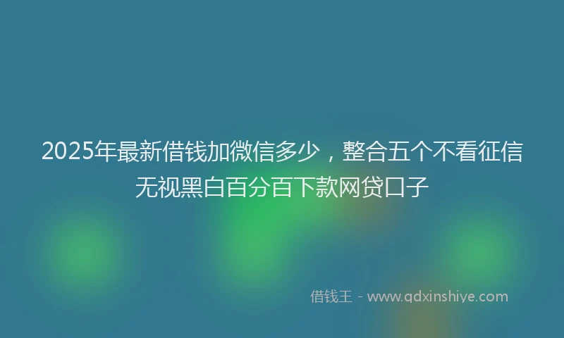 2025年最新借钱加微信多少，整合五个不看征信无视黑白百分百下款网贷口子