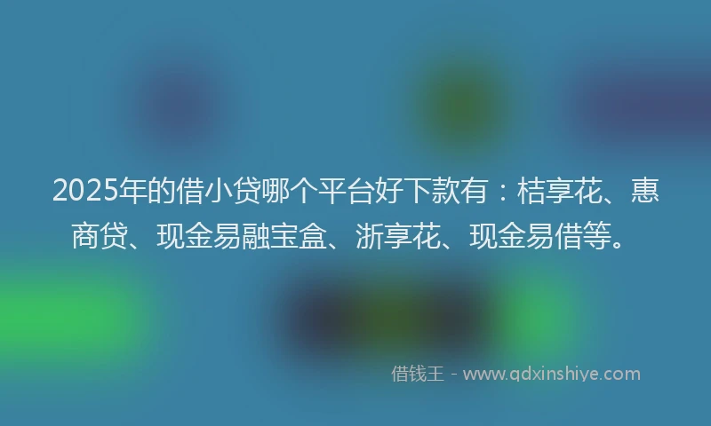 2025年的借小贷哪个平台好下款有：桔享花、惠商贷、现金易融宝盒、浙享花、现金易借等。