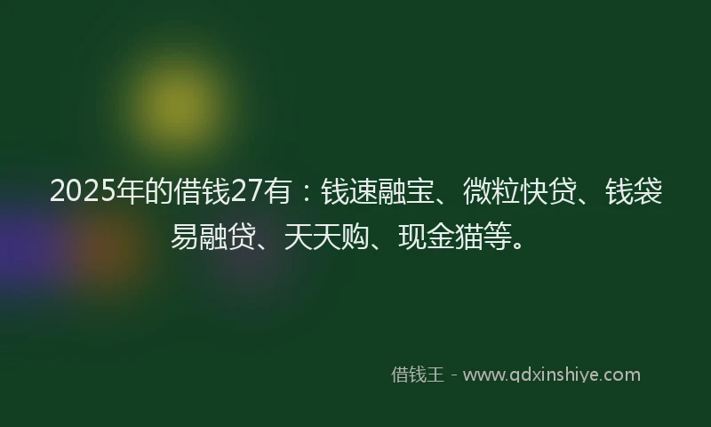 2025年的借钱27有：钱速融宝、微粒快贷、钱袋易融贷、天天购、现金猫等。