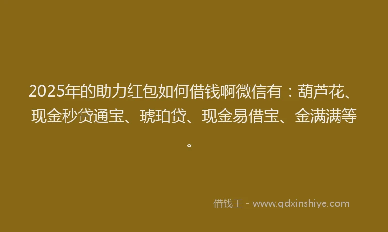 2025年的助力红包如何借钱啊微信有：葫芦花、现金秒贷通宝、琥珀贷、现金易借宝、金满满等。