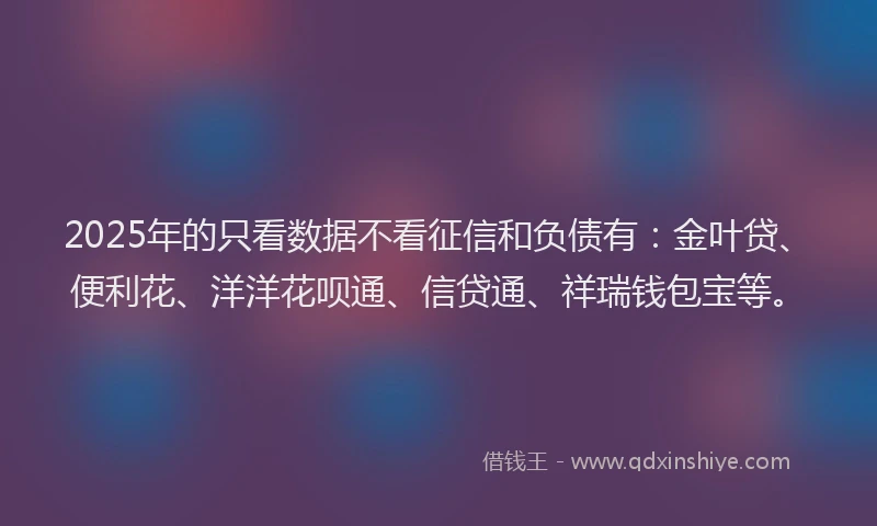 2025年的只看数据不看征信和负债有：金叶贷、便利花、洋洋花呗通、信贷通、祥瑞钱包宝等。