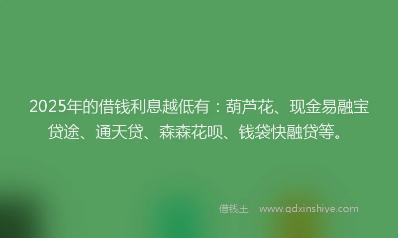 2025年的借钱利息越低有：葫芦花、现金易融宝贷途、通天贷、森森花呗、钱袋快融贷等。