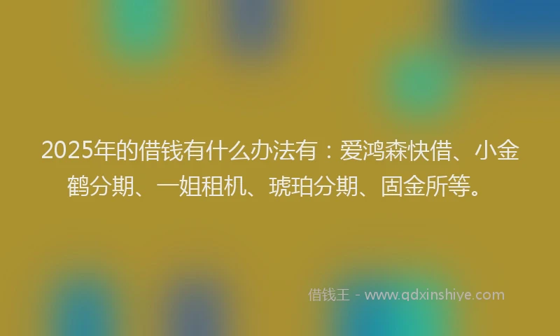 2025年的借钱有什么办法有：爱鸿森快借、小金鹤分期、一姐租机、琥珀分期、固金所等。