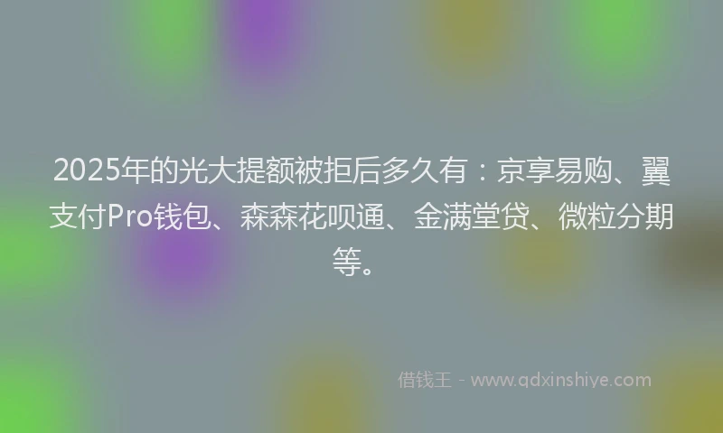 2025年的光大提额被拒后多久有：京享易购、翼支付Pro钱包、森森花呗通、金满堂贷、微粒分期等。
