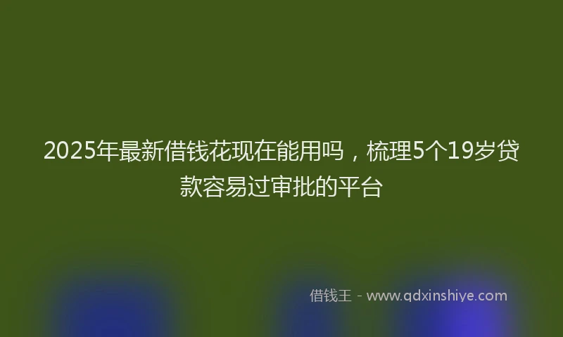 2025年最新借钱花现在能用吗，梳理5个19岁贷款容易过审批的平台