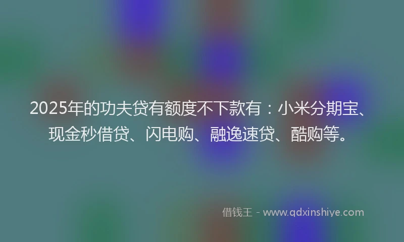 2025年的功夫贷有额度不下款有：小米分期宝、现金秒借贷、闪电购、融逸速贷、酷购等。