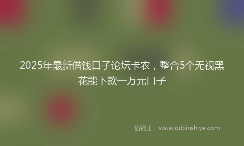 2025年最新借钱口子论坛卡农，整合5个无视黑花能下款一万元口子