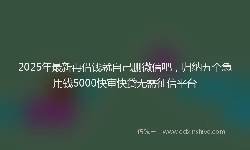 2025年最新再借钱就自己删微信吧，归纳五个急用钱5000快审快贷无需征信平台