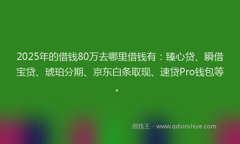 2025年的借钱80万去哪里借钱有：臻心贷、瞬借宝贷、琥珀分期、京东白条取现、速贷Pro钱包等。
