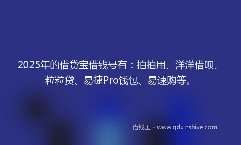 2025年的借贷宝借钱号有：拍拍用、洋洋借呗、粒粒贷、易捷Pro钱包、易速购等。