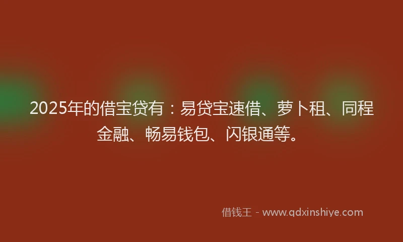 2025年的借宝贷有：易贷宝速借、萝卜租、同程金融、畅易钱包、闪银通等。