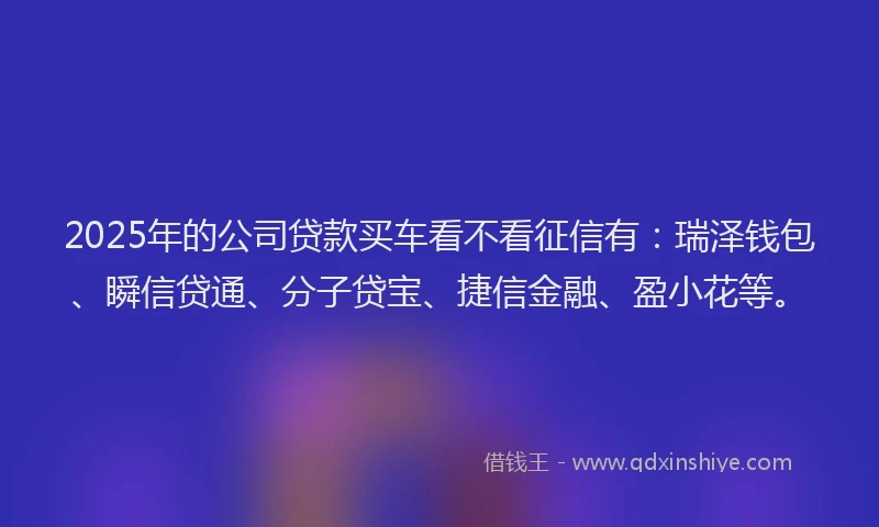 2025年的公司贷款买车看不看征信有：瑞泽钱包、瞬信贷通、分子贷宝、捷信金融、盈小花等。