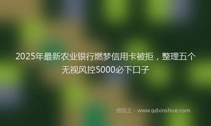 2025年最新农业银行燃梦信用卡被拒，整理五个无视风控5000必下口子