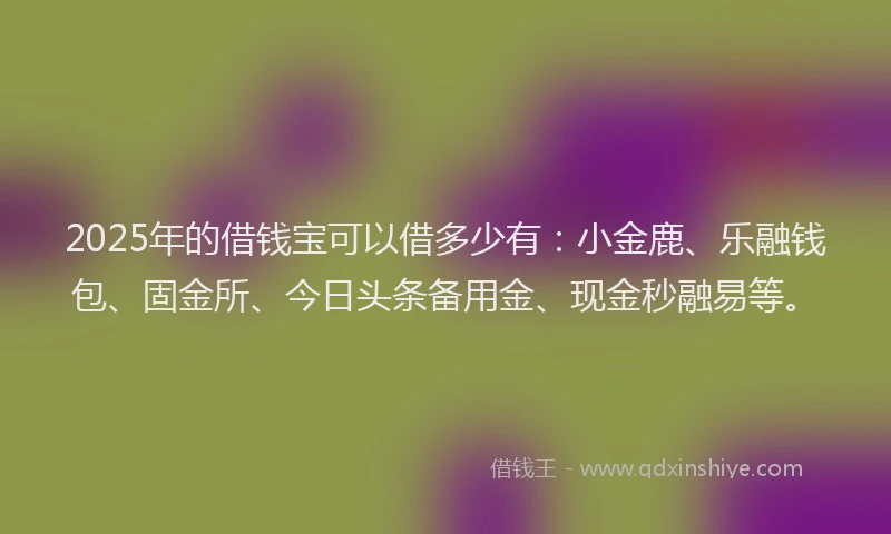 2025年的借钱宝可以借多少有：小金鹿、乐融钱包、固金所、今日头条备用金、现金秒融易等。