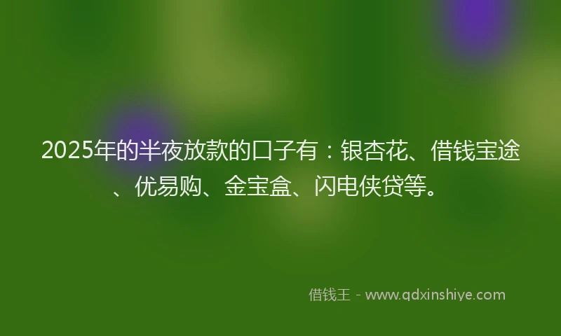 2025年的半夜放款的口子有：银杏花、借钱宝途、优易购、金宝盒、闪电侠贷等。