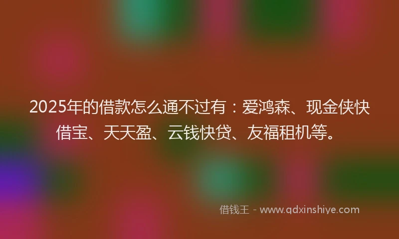2025年的借款怎么通不过有：爱鸿森、现金侠快借宝、天天盈、云钱快贷、友福租机等。