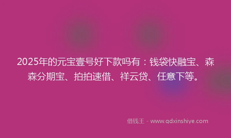 2025年的元宝壹号好下款吗有：钱袋快融宝、森森分期宝、拍拍速借、祥云贷、任意下等。