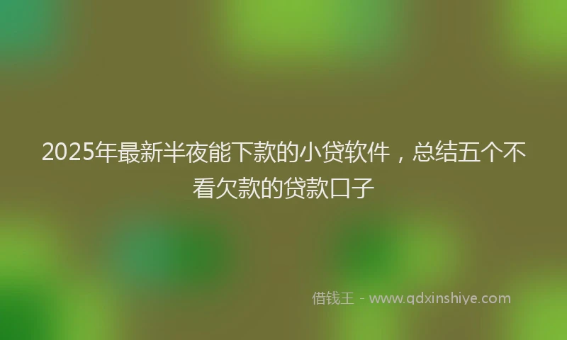 2025年最新半夜能下款的小贷软件，总结五个不看欠款的贷款口子