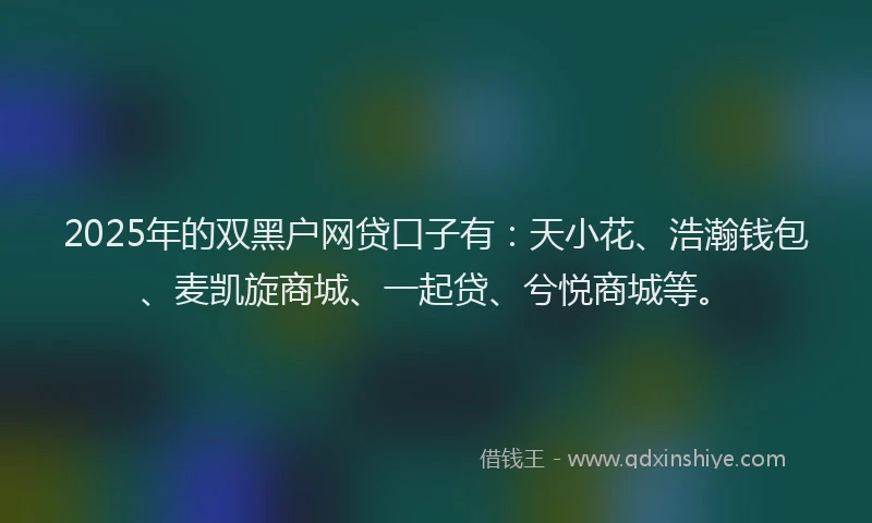 2025年的双黑户网贷口子有：天小花、浩瀚钱包、麦凯旋商城、一起贷、兮悦商城等。